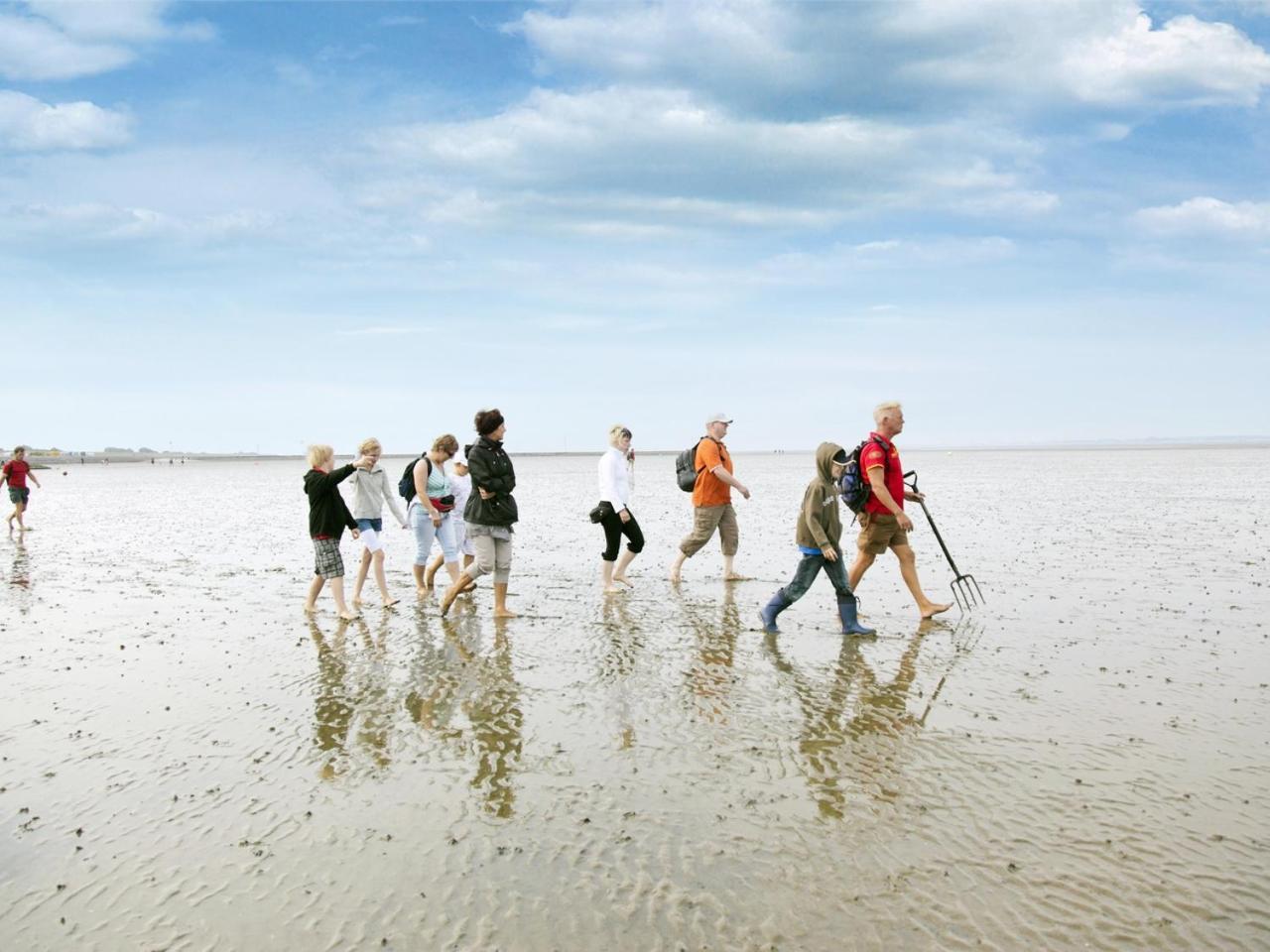 Nordseekueste By Center Parcs 4* Тоссенс